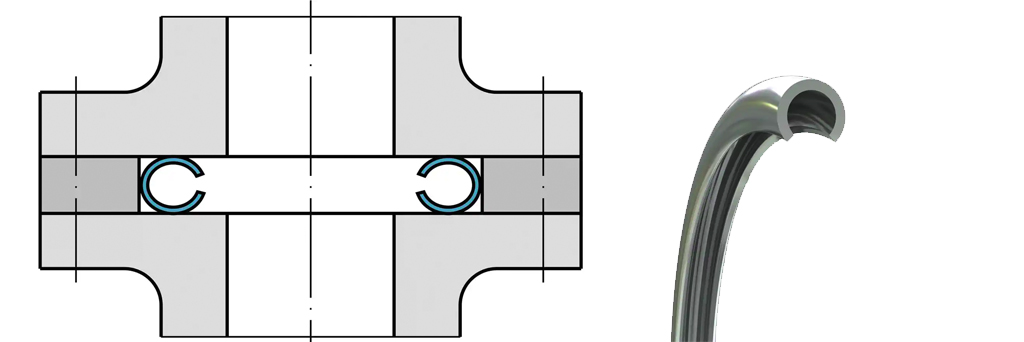 ast sealing will rings c
